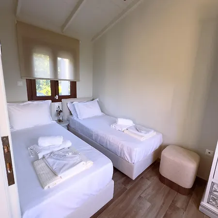 Millstone Summerhouse Apartment Pachis (Thasos)